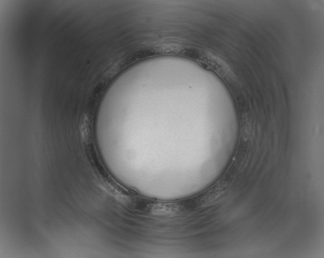 X0000073490077200608281626