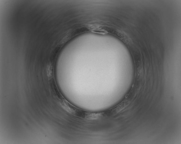 X0000073490081200608281626