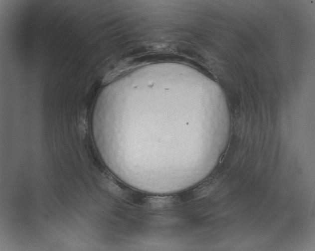 X0000073490085200608281626