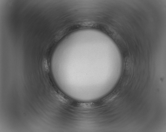 X0000073490089200608281626
