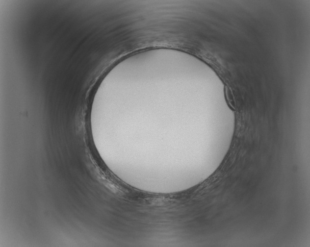 X0000073490098200608281626
