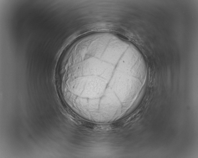 X0000073490099200608281626