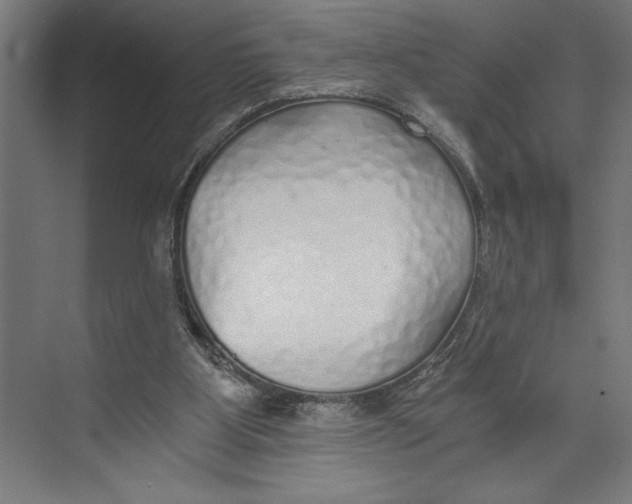 X0000073490107200608281626