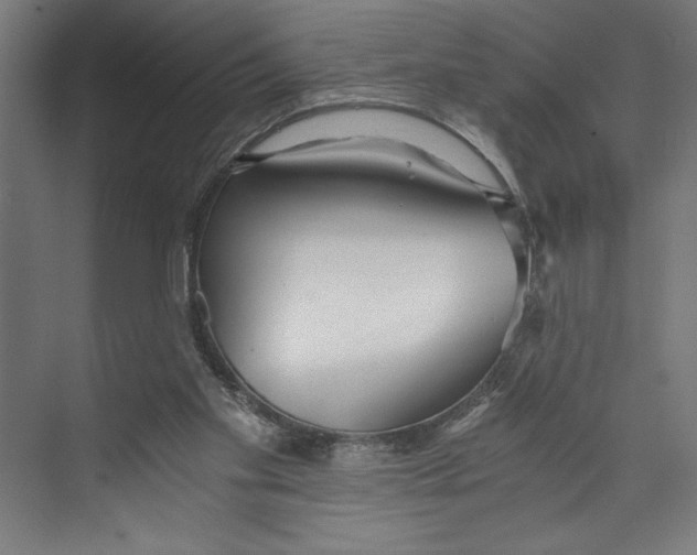 X0000073490109200608281626