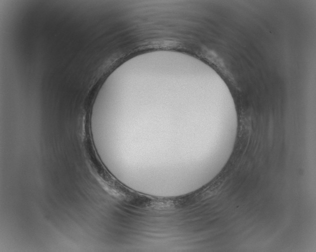 X0000073490110200608281626