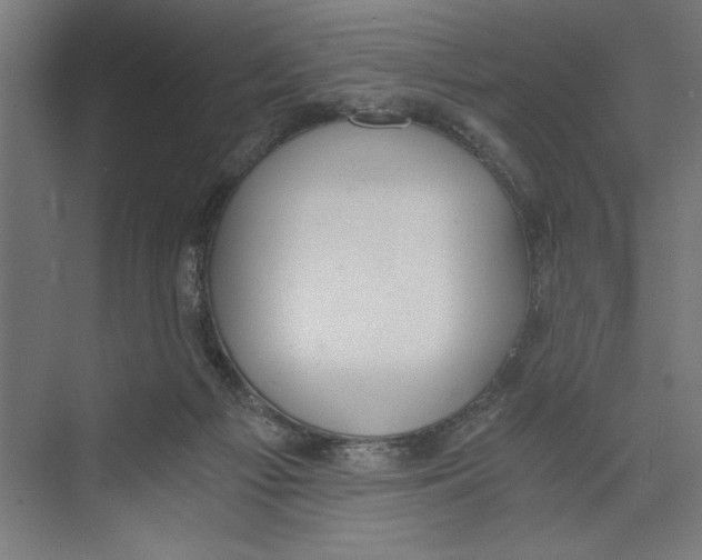 X0000073490121200608281625