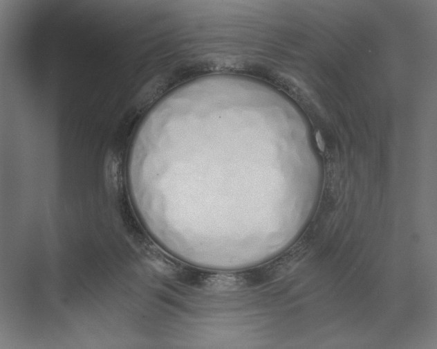 X0000073490123200608281625