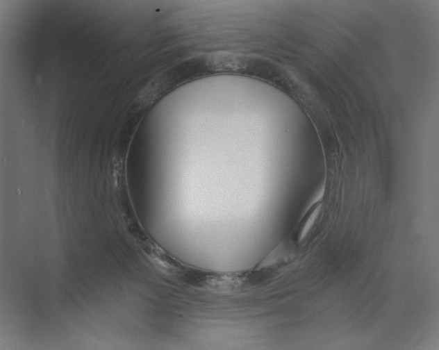 X0000073490125200608281625