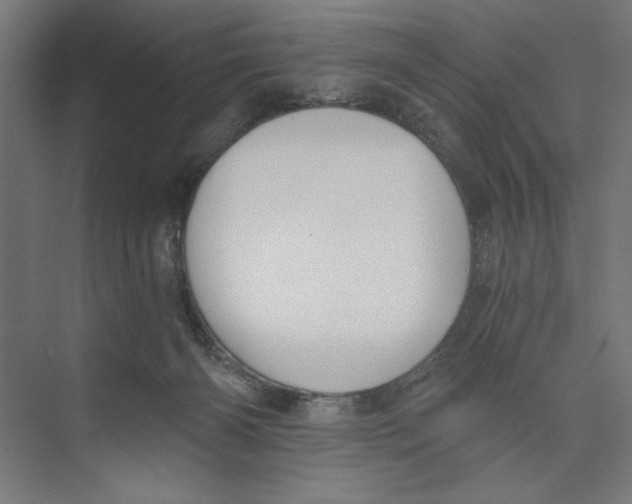 X0000073490126200608281625