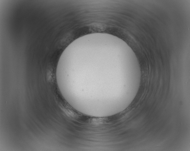 X0000073490134200608281625