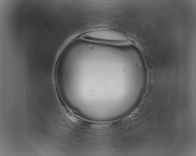 X0000073490147200608281624