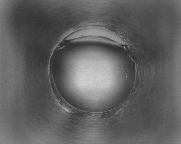 X0000073490148200608281624