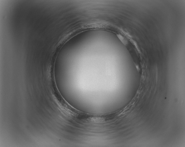 X0000073490154200608281624