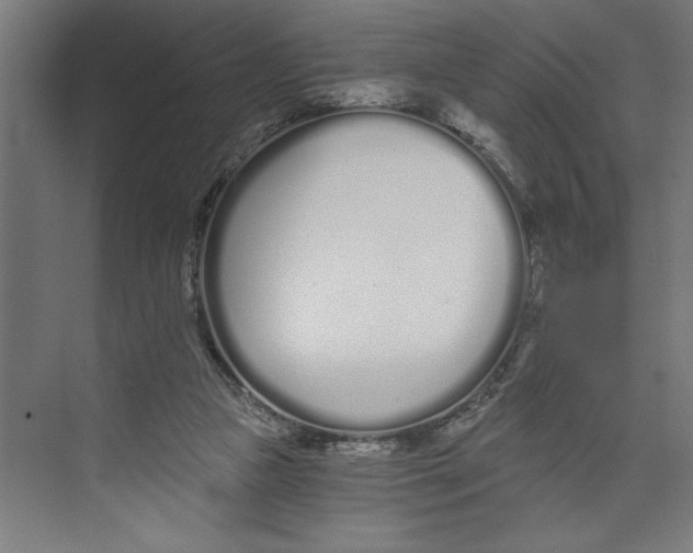 X0000073490161200608281624