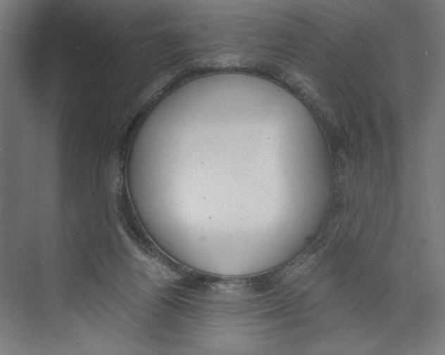 X0000073490164200608281624
