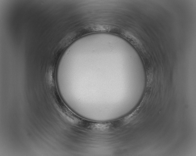 X0000073490166200608281625