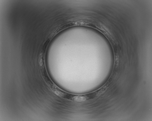 X0000073490169200608281625