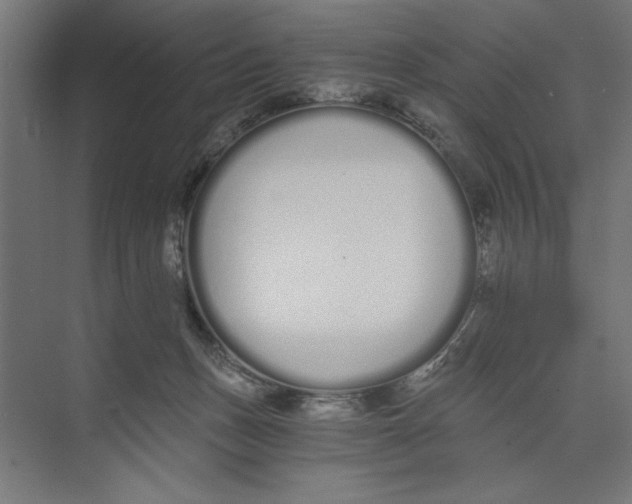 X0000073490175200608281625
