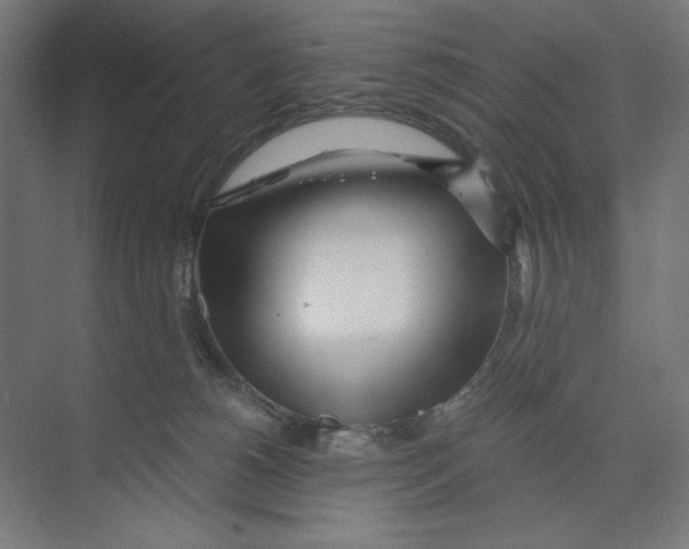 X0000073490180200608281625