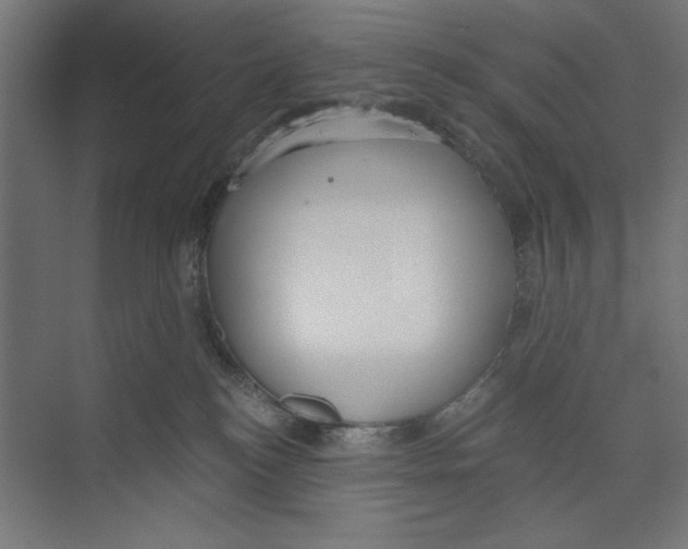 X0000073490184200608281625