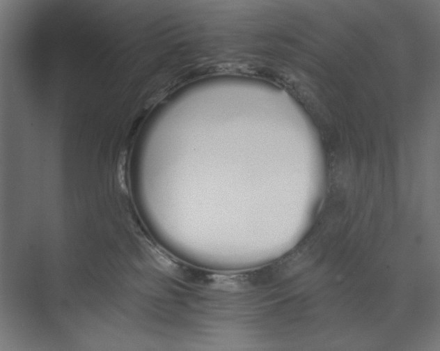 X0000073490185200608281625