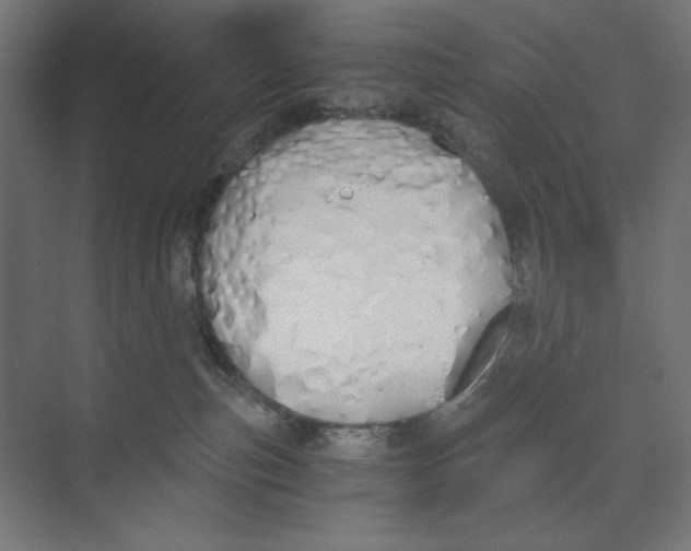 X0000073490187200608281625