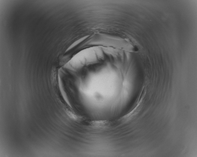 X0000073490192200608281625