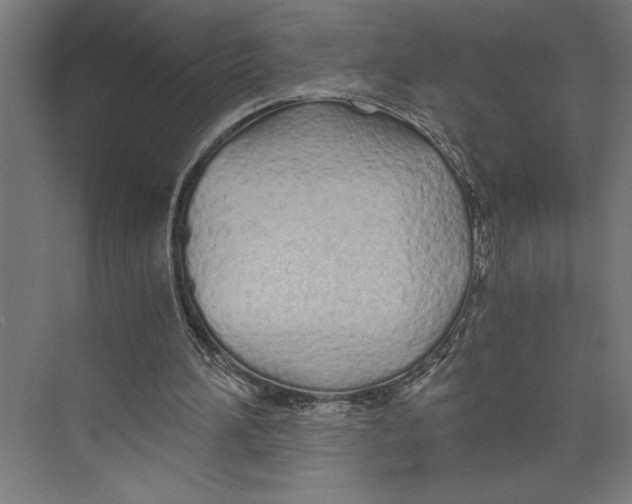 X0000073490196200608281624