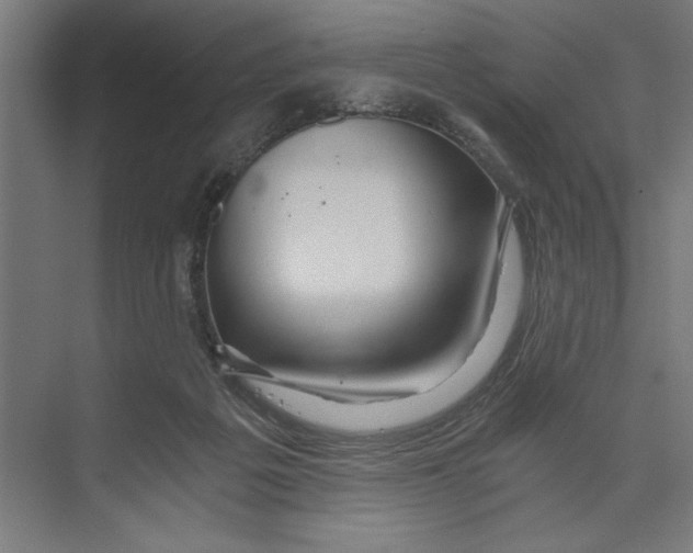 X0000073490217200608281624