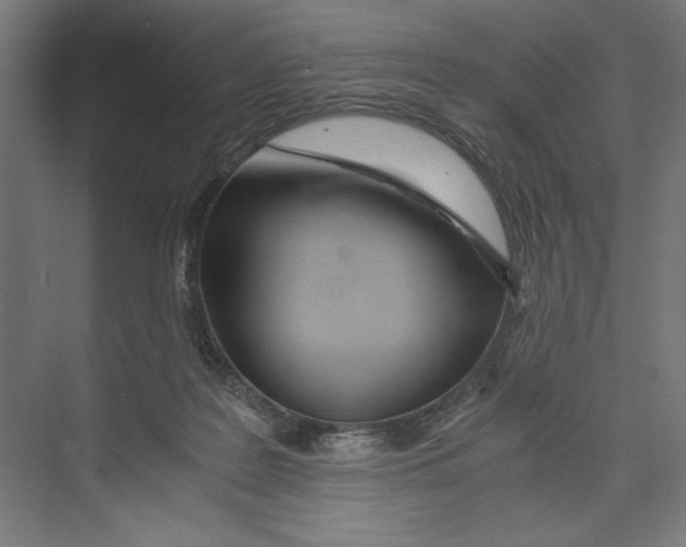 X0000073490219200608281624