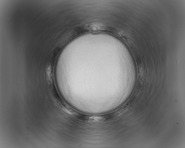 X0000073490222200608281624