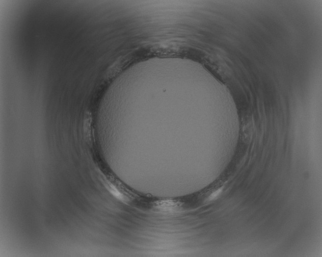 X0000073490231200608281624