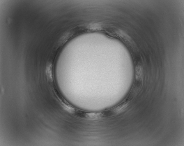 X0000073490238200608281623