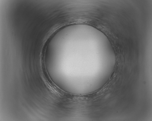 X0000073490242200608281623