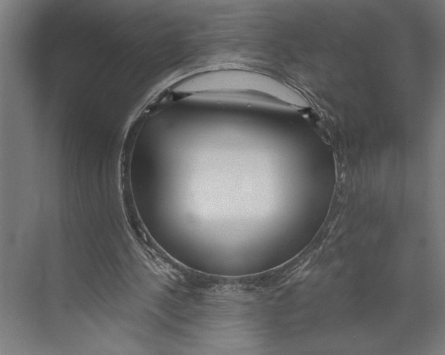 X0000073490244200608281623
