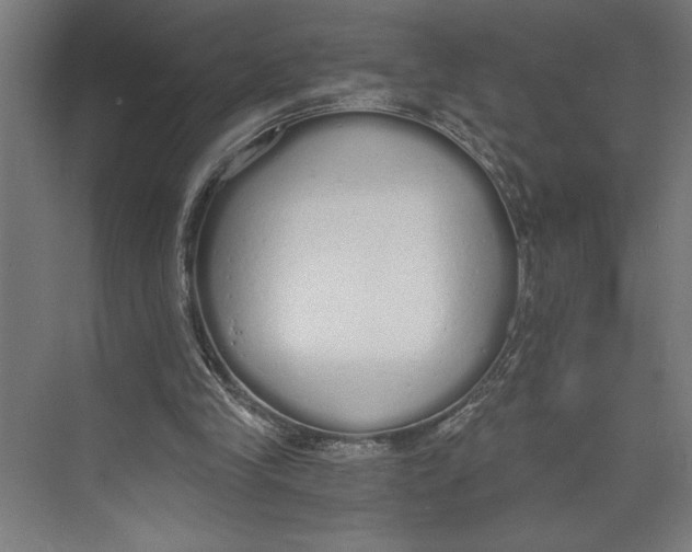 X0000073490245200608281623