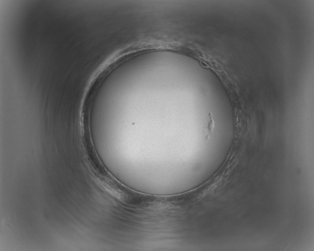 X0000073490246200608281623