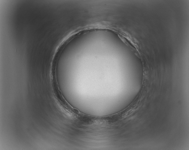 X0000073490248200608281623