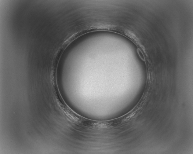 X0000073490249200608281623