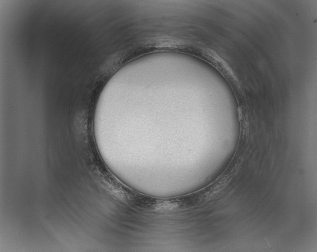 X0000073490257200608281623