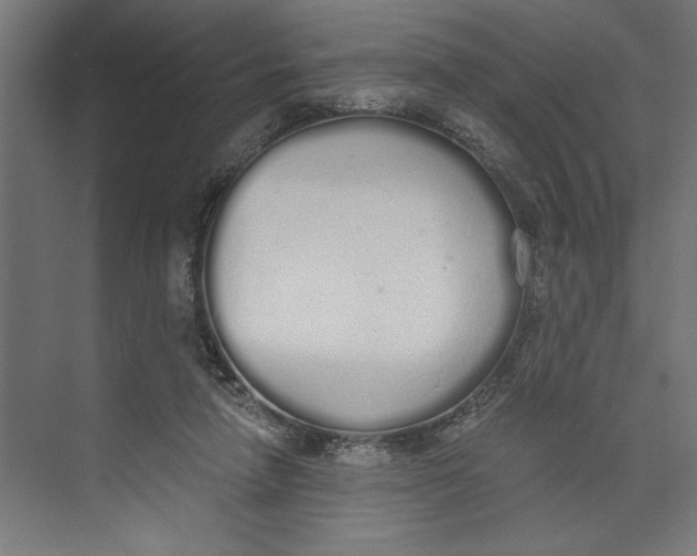 X0000073490258200608281623