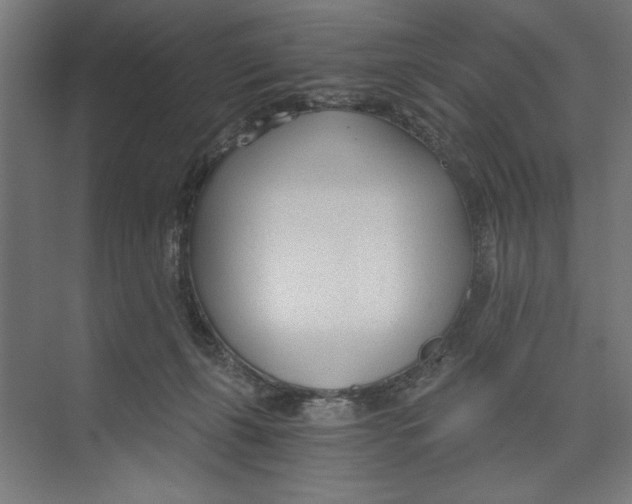X0000073490271200608281623