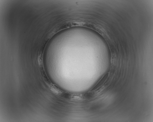 X0000073490285200608281623