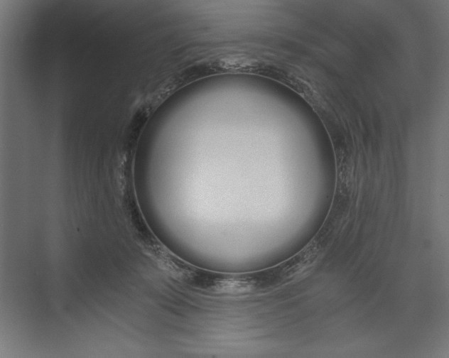X0000073490319200608281622