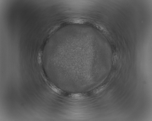 X0000073490325200608281622
