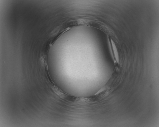 X0000073490329200608281622