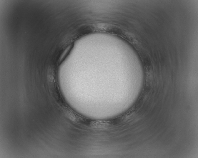 X0000073490331200608281622