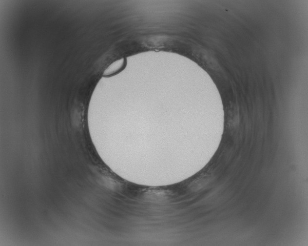 X0000073490332200608281622