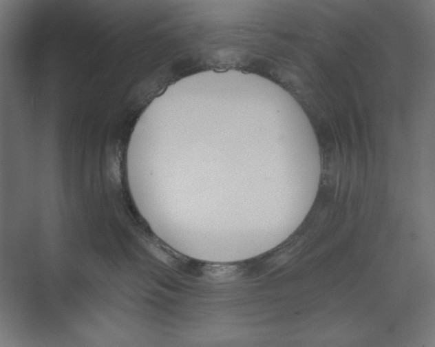 X0000073490334200608281622