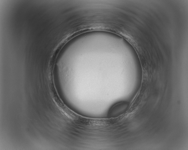 X0000073490347200608281621